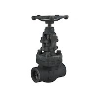 گلوب ولو فولادی فورج